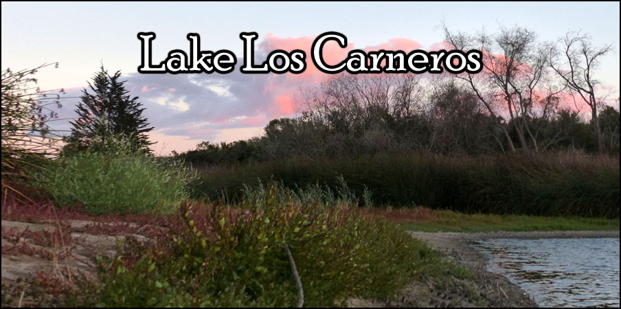 Lake Los Carneros