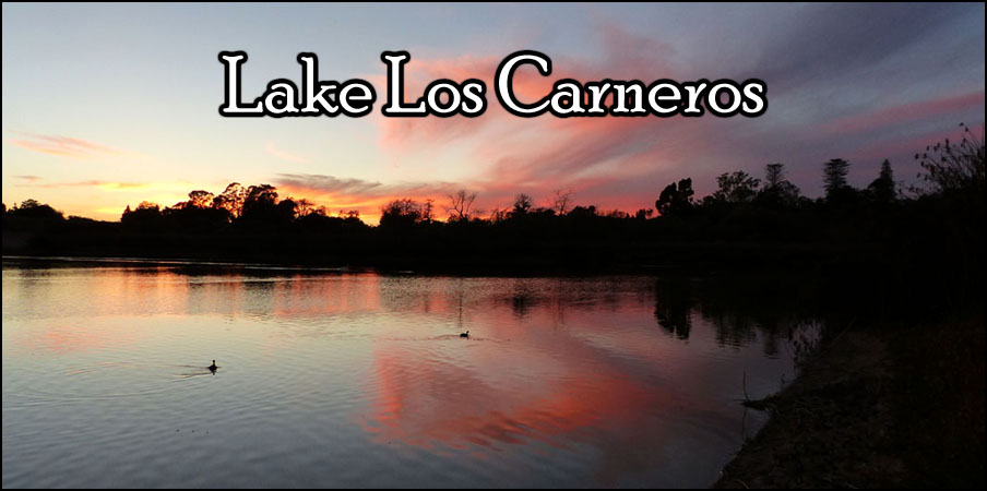 Lake Los Carneros