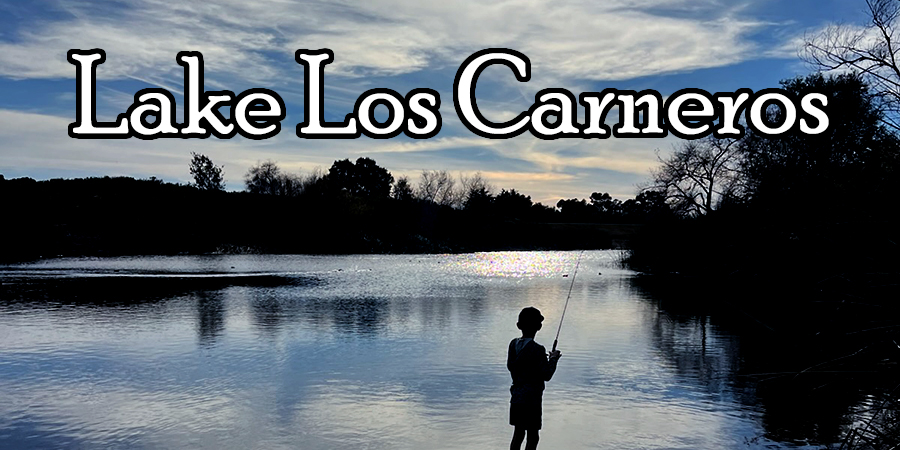 Lake Los Carneros