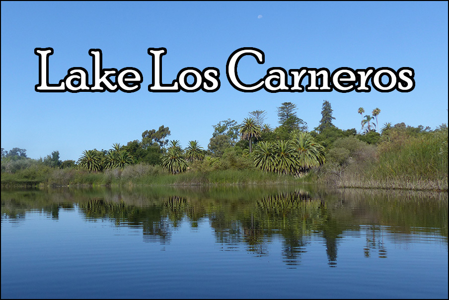 Lake Los Carneros