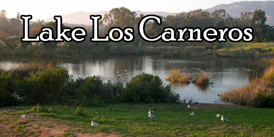 Lake Los Carneros