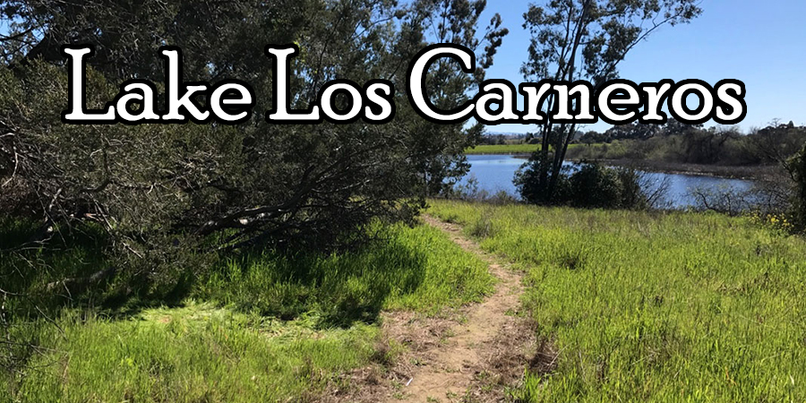 Lake Los Carneros