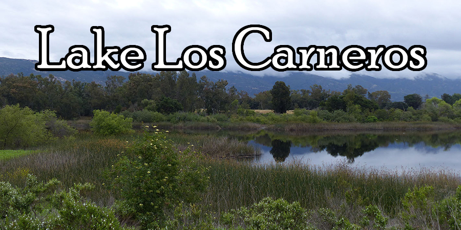 Lake Los Carneros