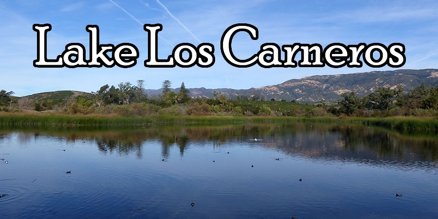 Lake Los Carneros