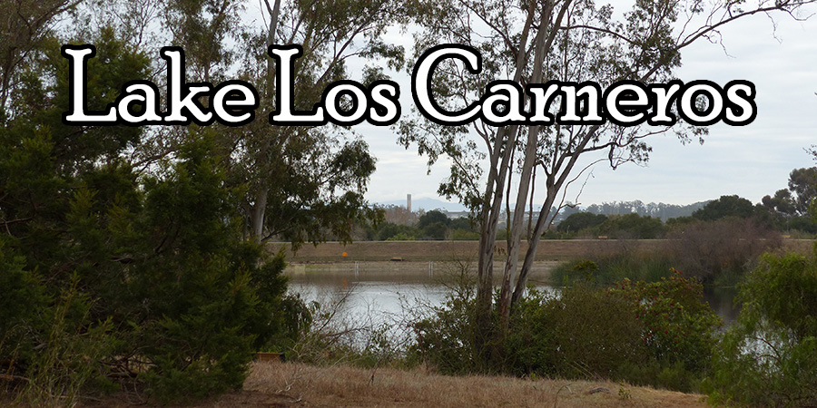 Lake Los Carneros