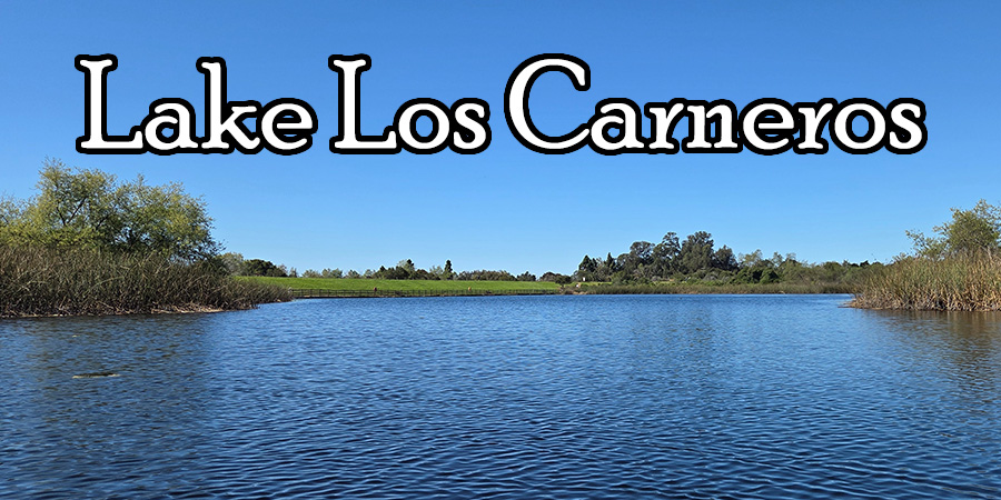 Lake Los Carneros
