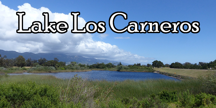 Lake Los Carneros