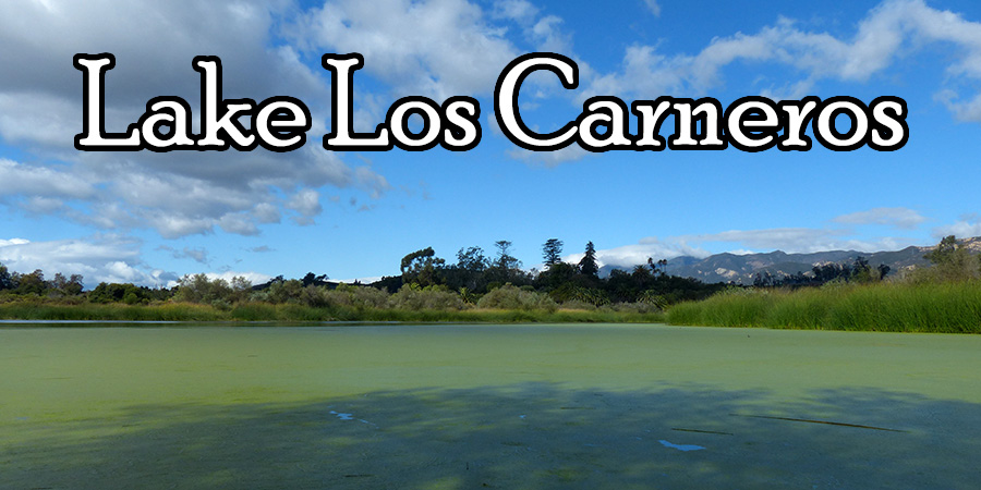 Lake Los Carneros
