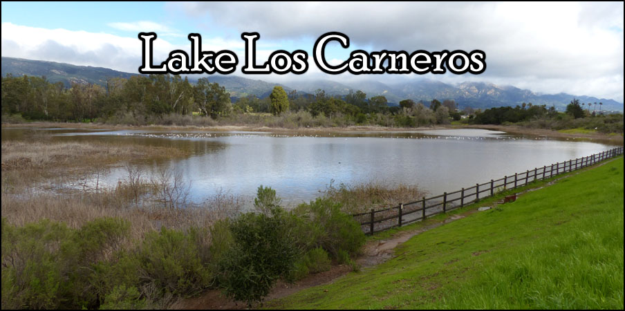 Lake Los Carneros